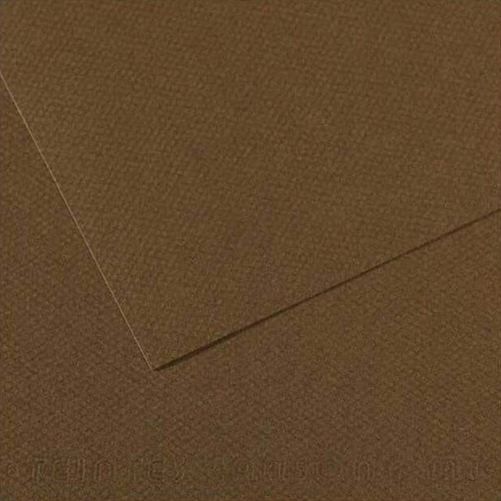 Canson Mi-Teintes Pastel Paper 50x65 160g Brown 501