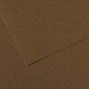 Canson Mi-Teintes Pastel Paper 50x65 160g Brown 501