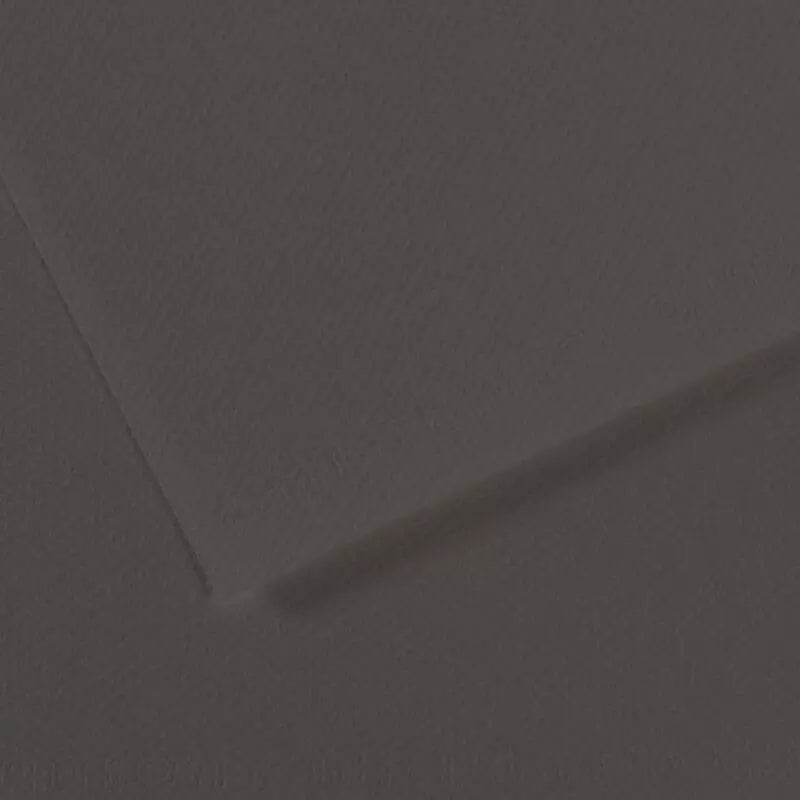 Canson Mi-Teintes Pastel Paper 50x65 160g Charcoal Grey 184