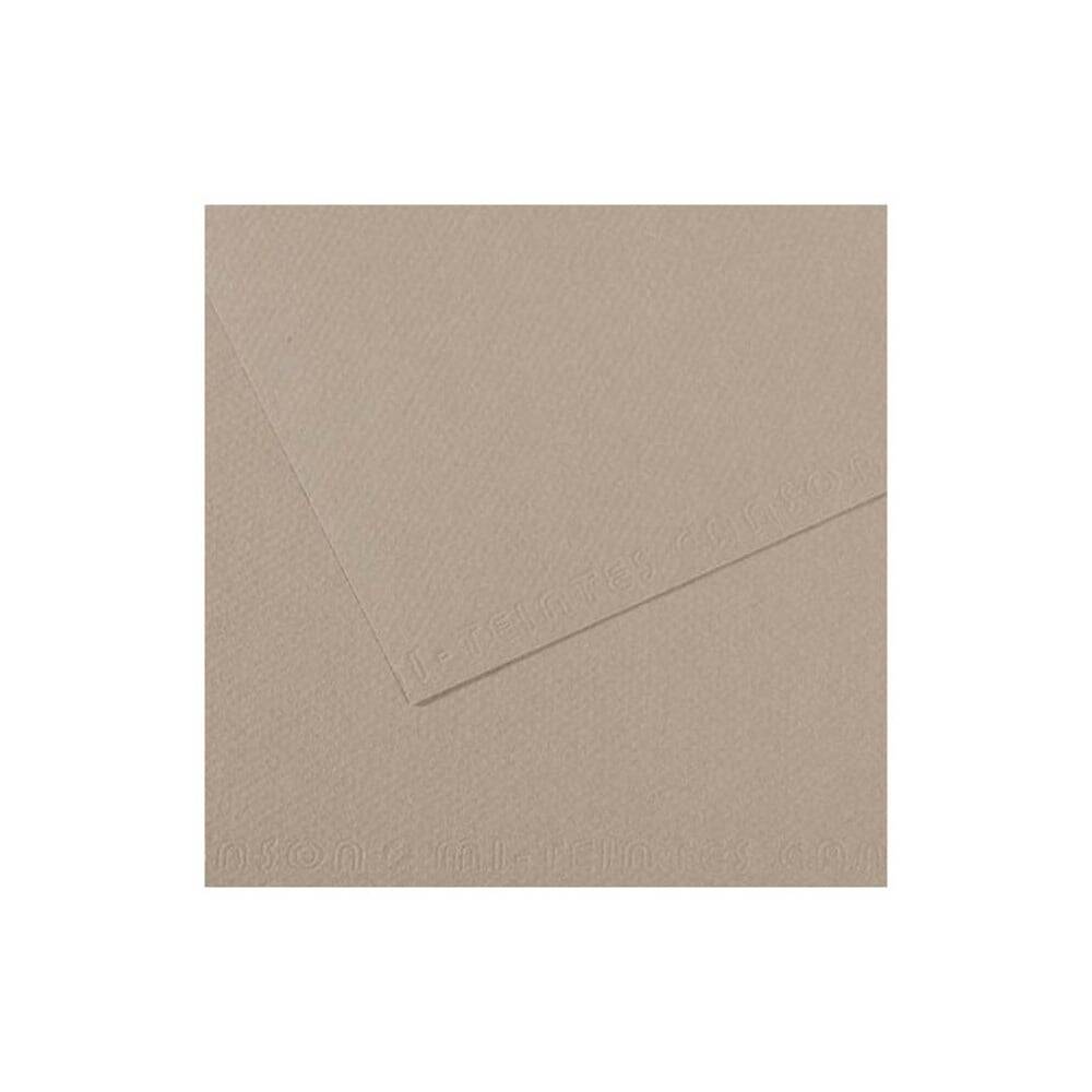 Canson Mi-Teintes Pastel Paper 50x65 160g Grey 122