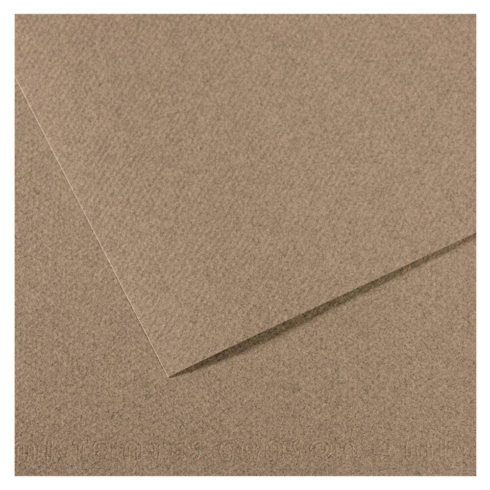 Canson Mi-Teintes Pastel Paper 50x65 160g Grey 431