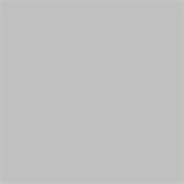 Decobrush Pigment Marker Cool Grey 1