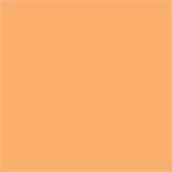 Decobrush Pigment Marker Pastel Pumpkin