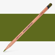 Derwent Lightfast Coloured Pencil Foliage