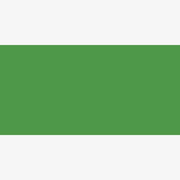 Derwent Lightfast Coloured Pencil Grass Green