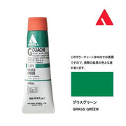 Holbein Akrilik Guaj Boya 20 ml D071 Grass Green
