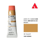 Holbein Akrilik Guaj Boya 20 ml D138 Raw Sienna