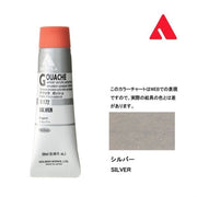 Holbein Akrilik Guaj Boya 20 ml D172 Silver