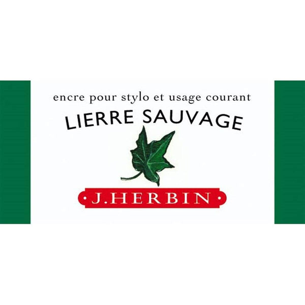 13037T LIERRE SAUVAGE