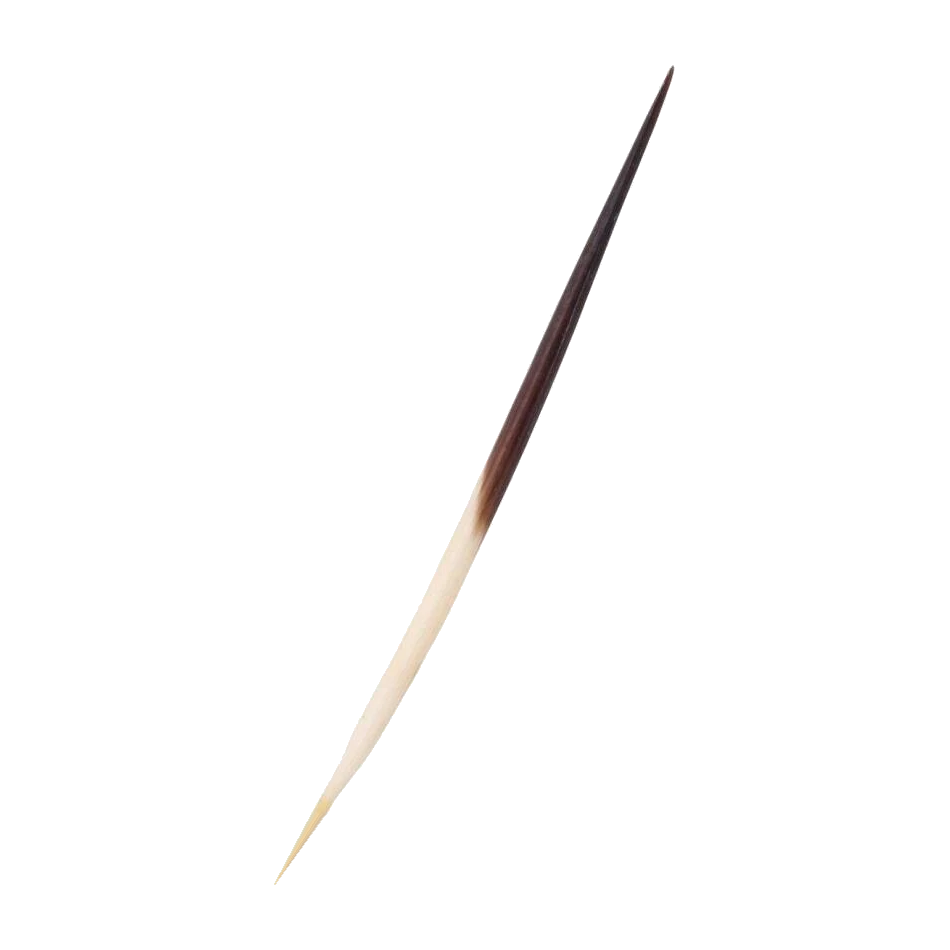 Karin the Hedgehog Arrow Big