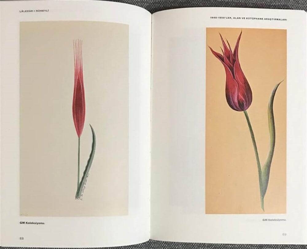 Lalezar-ı Süheyli - Curiosity About Tulips in Our History