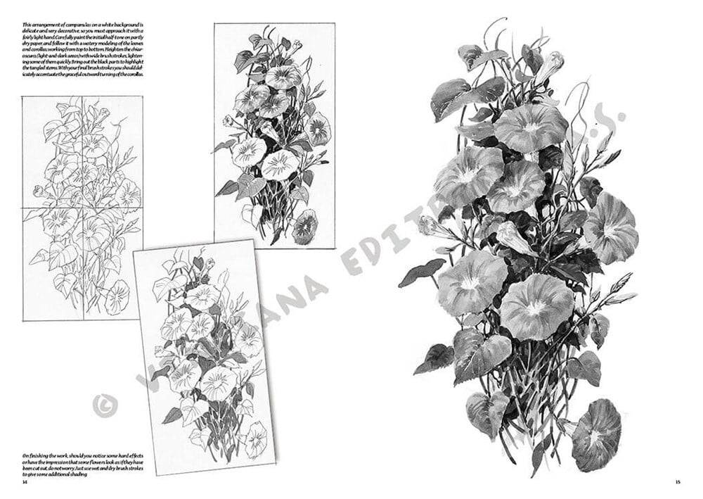 Leonardo Collection Drawing Book Flowers N: 20 Flowers N: 20