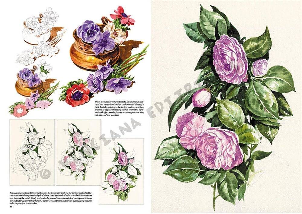 Leonardo Collection Drawing Book Flowers N: 20 Flowers N: 20