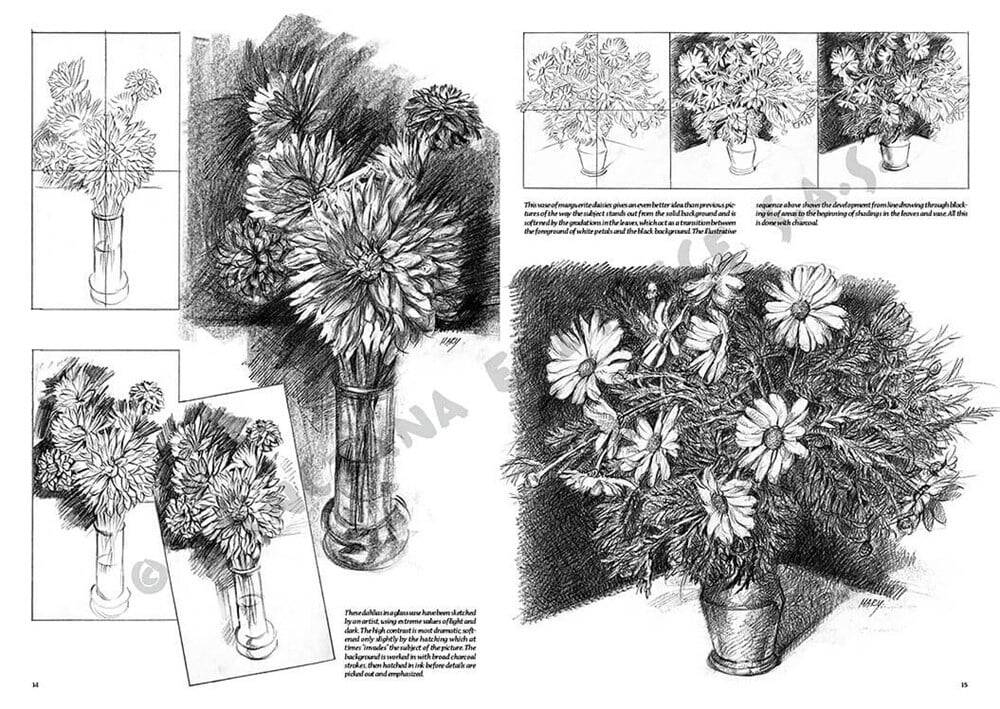 Leonardo Collection Drawing Book Flowers N: 21 Flowers N: 21