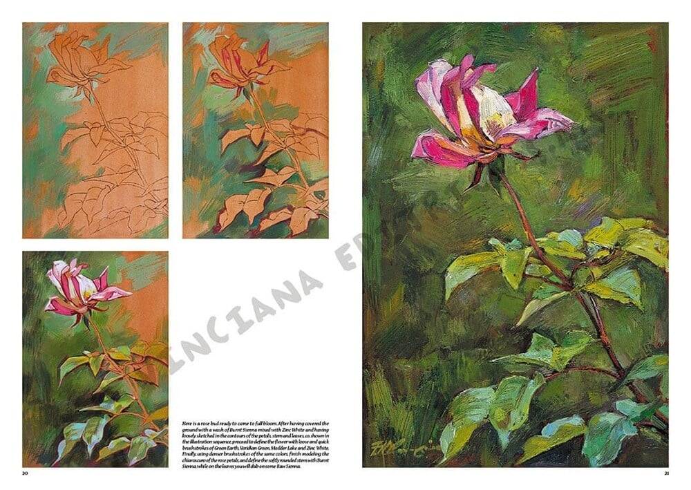Leonardo Collection Drawing Book Flowers N: 22 Flowers N: 22