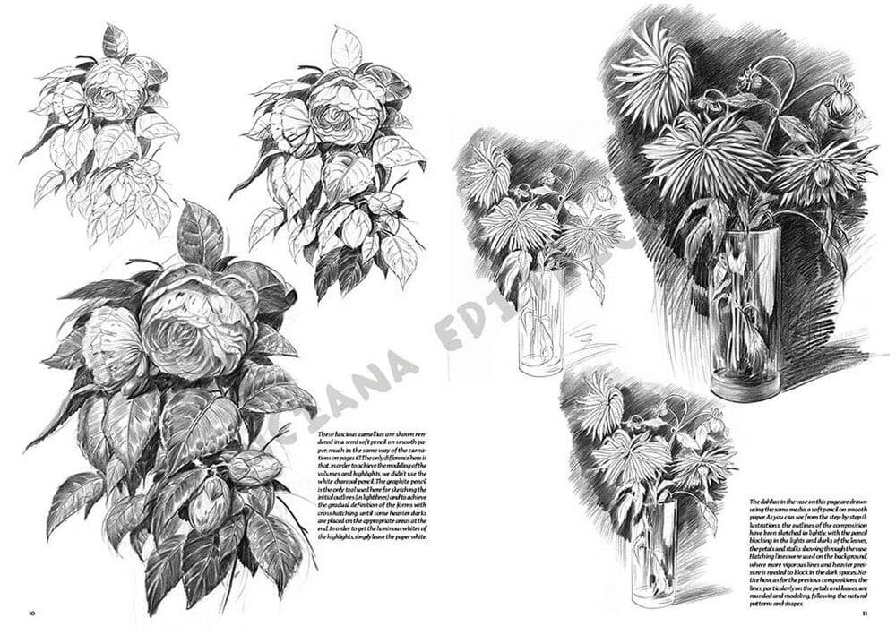 Leonardo Collection Drawing Book Flowers N: 22 Flowers N: 22