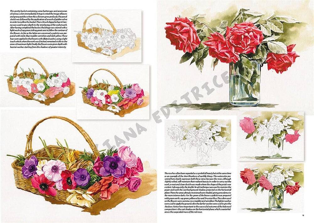Leonardo Collection Drawing Book Flowers N: 23 Flowers N: 23