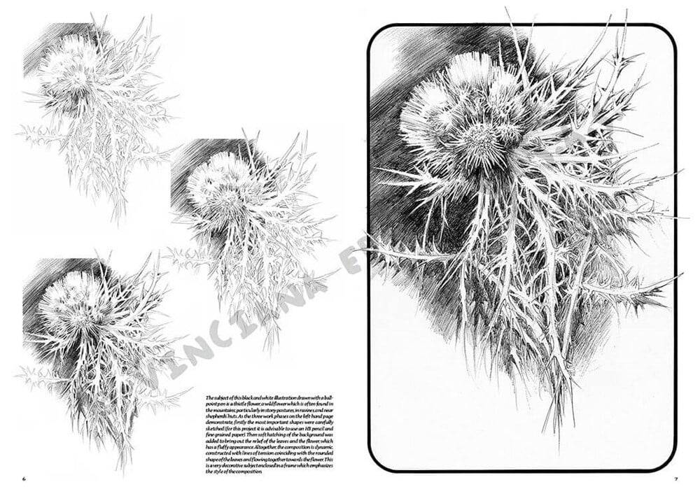 Leonardo Collection Drawing Book Flowers N: 23 Flowers N: 23