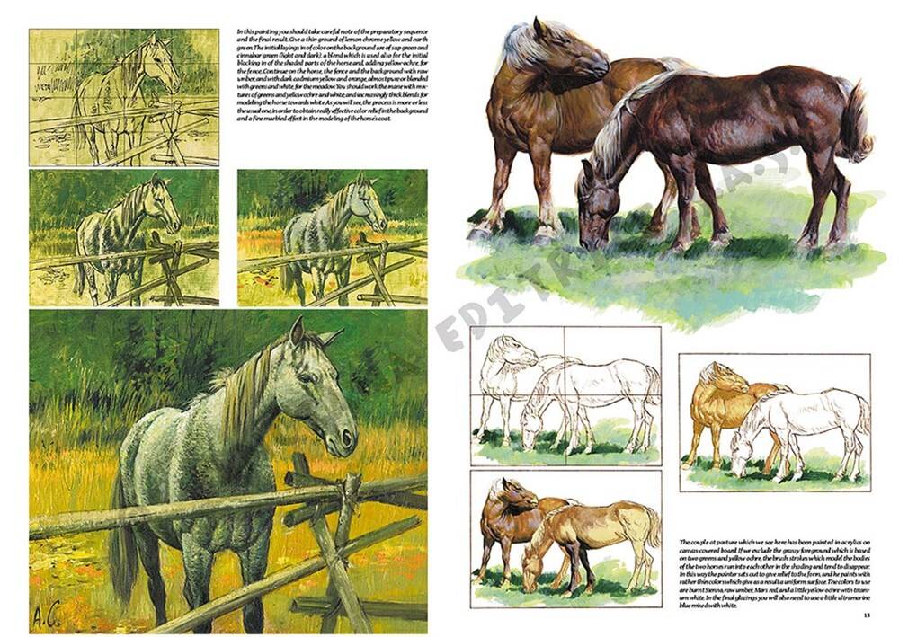 Leonardo Collection Drawing Book Horses No: 6 Horses N: 6