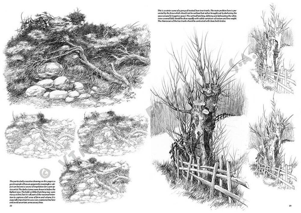 Leonardo Collection Drawing Book Landsapes N: 19 Landscapes N: 19