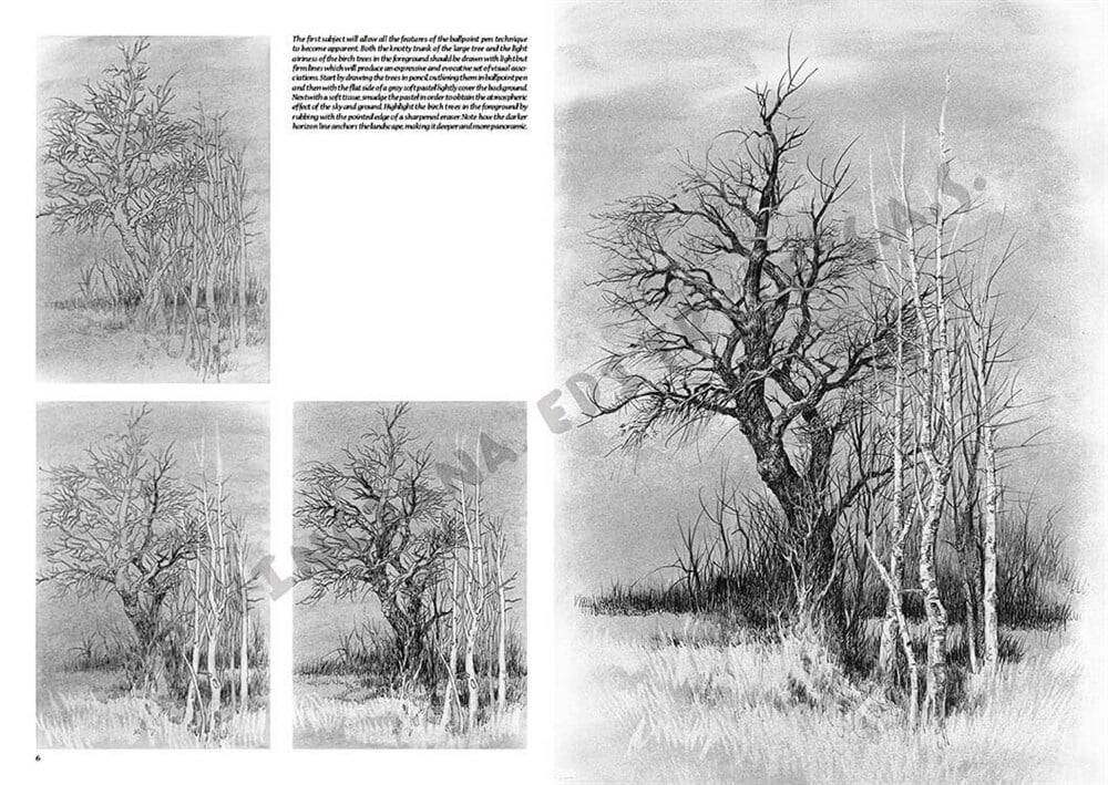 Leonardo Collection Drawing Book Landsapes N: 19 Landscapes N: 19