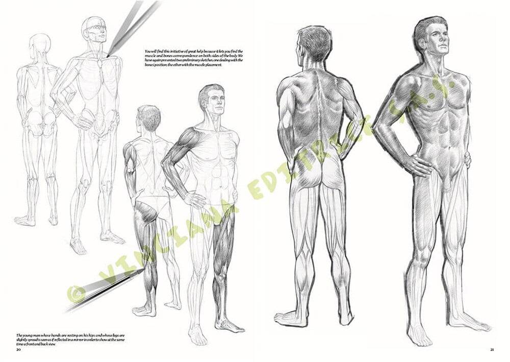 Leonardo Collection Drawing Book Nudes No: 10 Nude Drawing N: 10