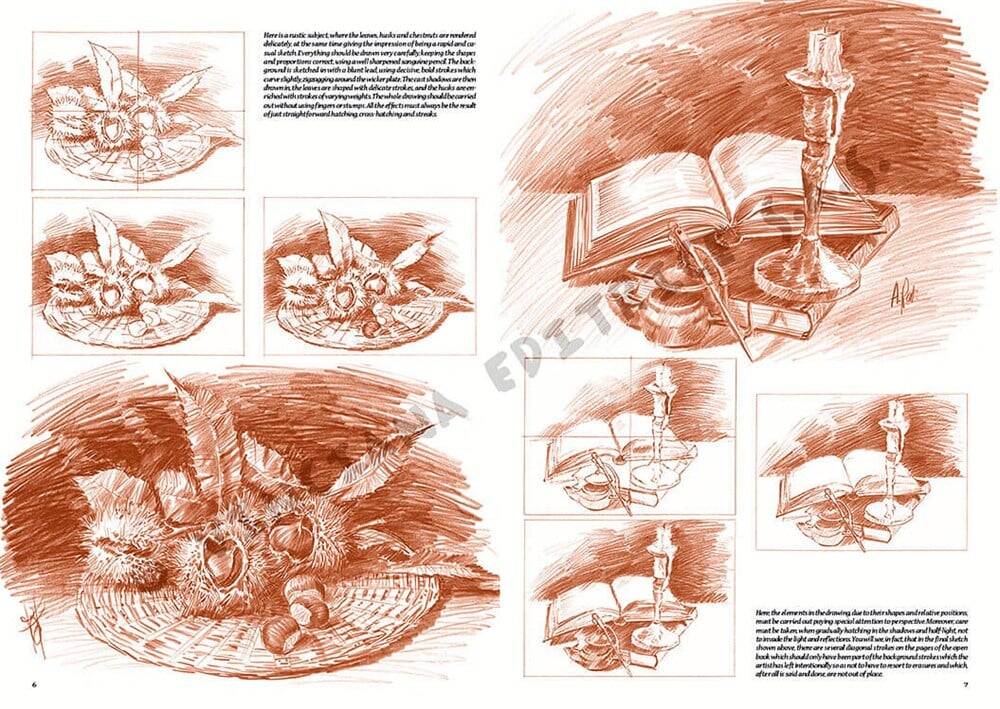 Leonardo Collection Drawing Book Stilife N: 25 Still Life N: 25