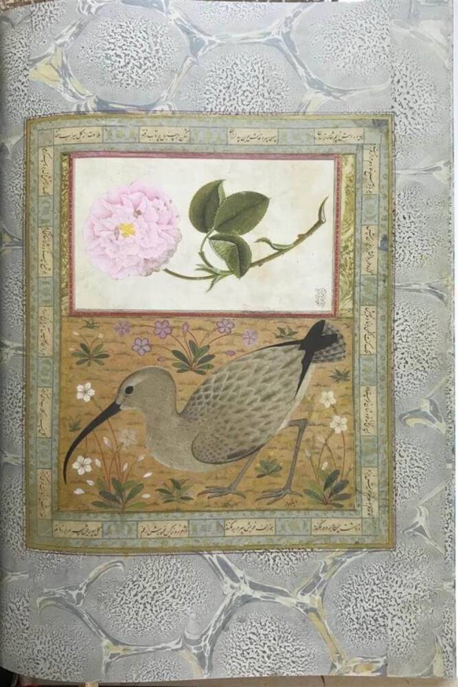 Natural Flowers in Ottoman Book Art - Yıldız Demiriz