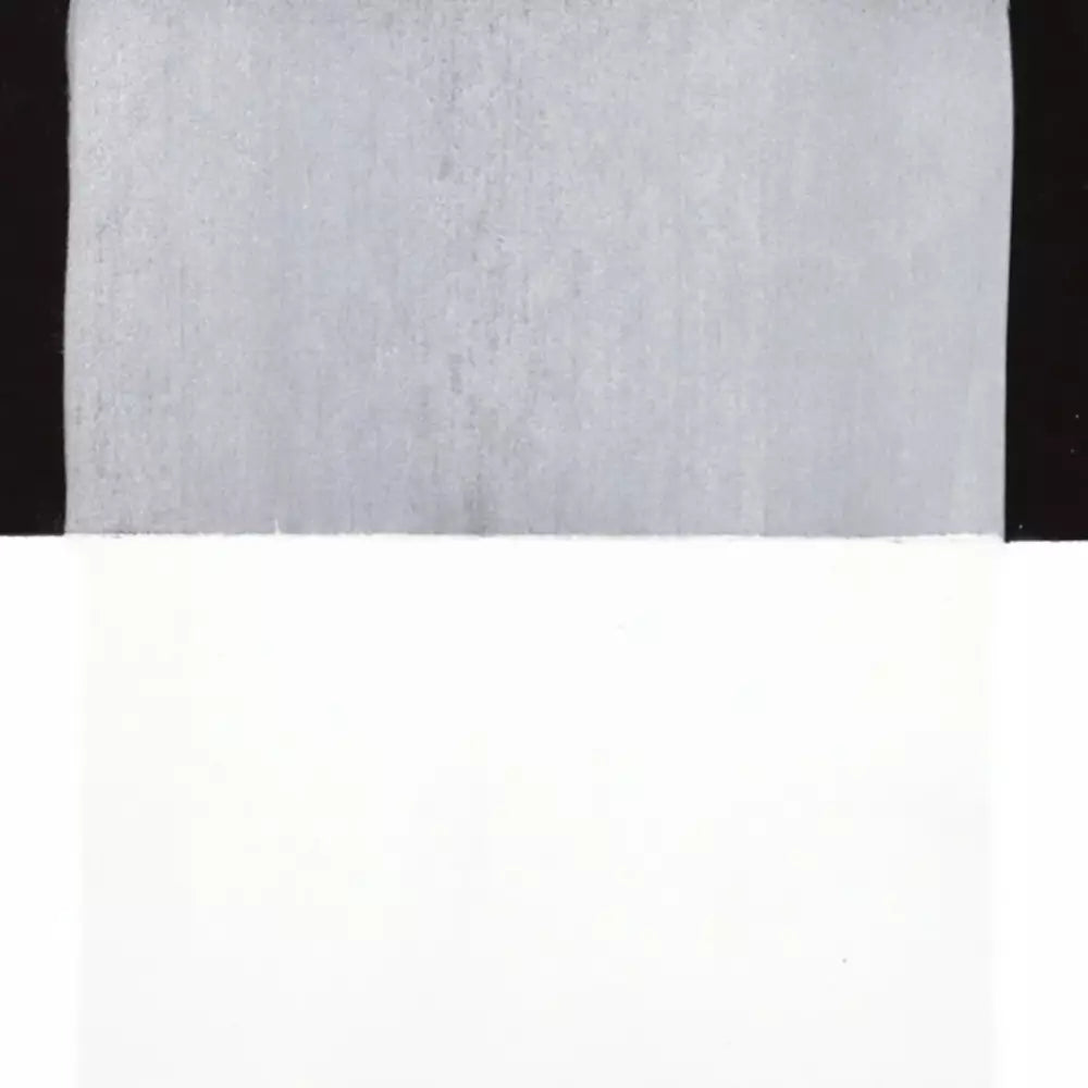 PanPastel Artist's Pastel Boya 100.5 Titanium White