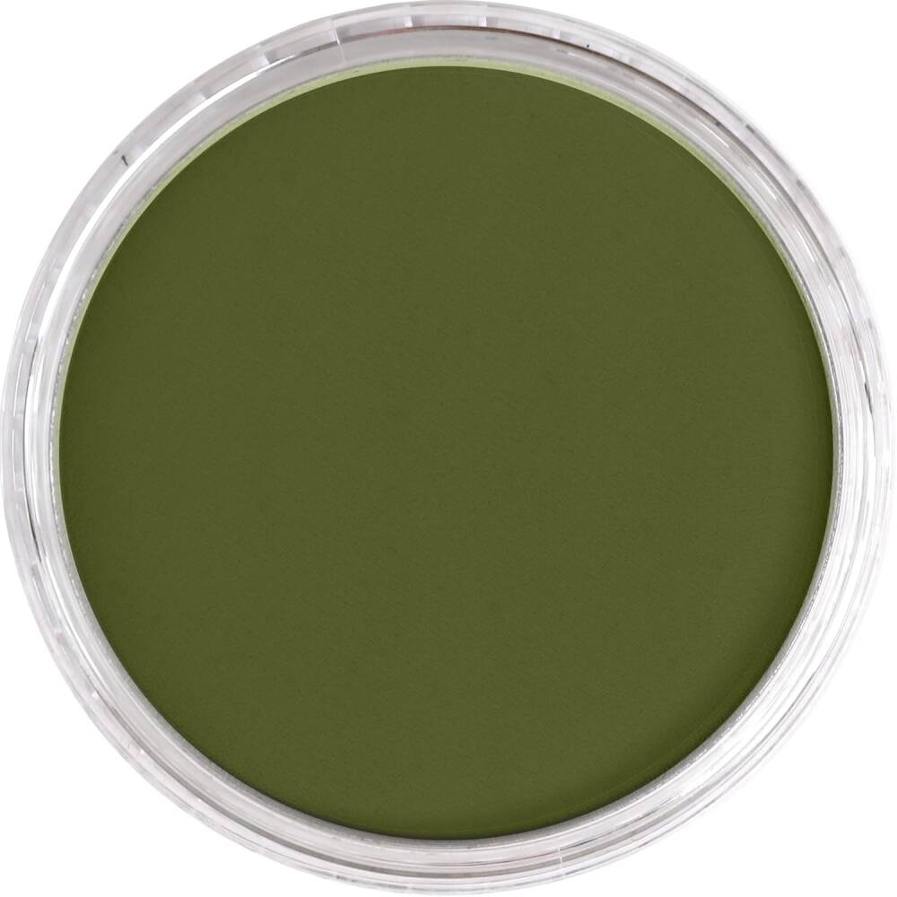 PanPastel Artist's Pastel Boya 220.1 Hansa Yellow Extra Dark