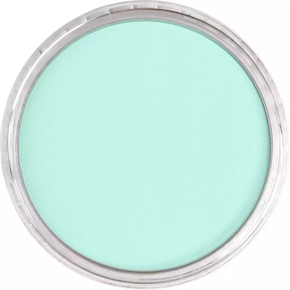 PanPastel Artist's Pastel Boya 620.8 Phthalo Green Tint