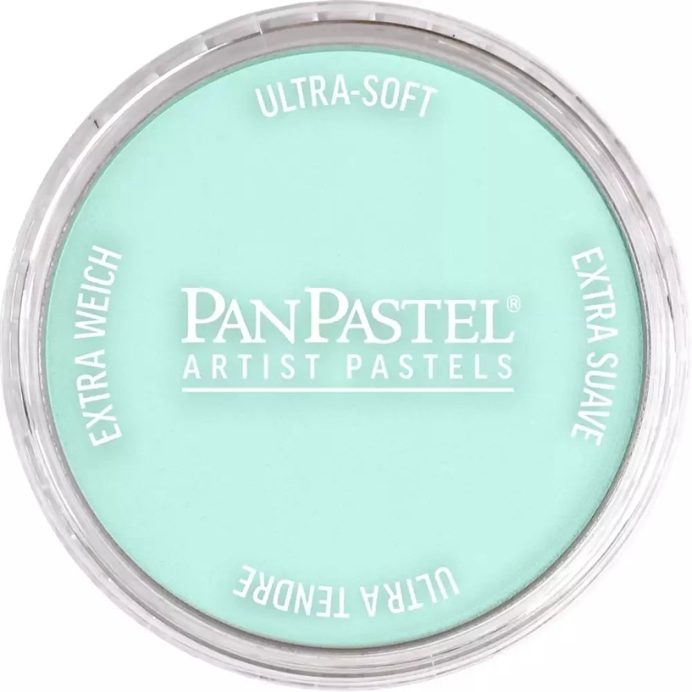 PanPastel Artist's Pastel Boya 620.8 Phthalo Green Tint