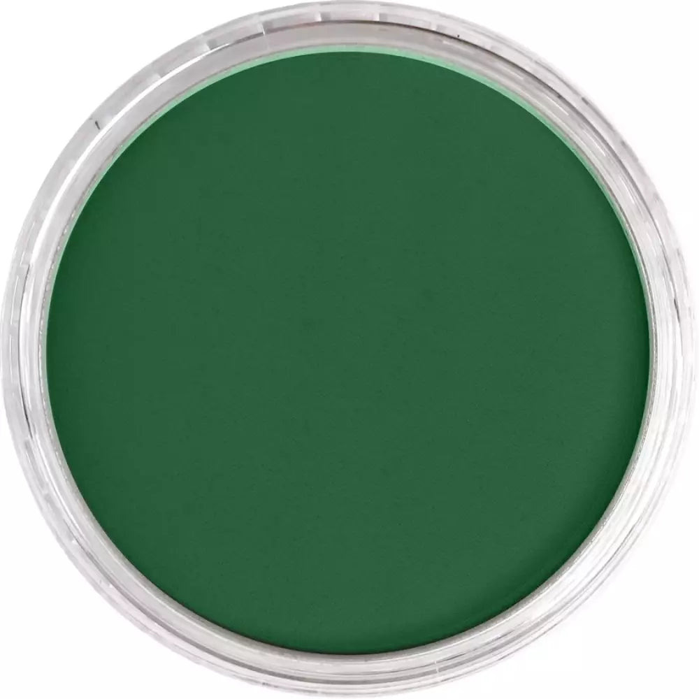PanPastel Artist's Pastel Boya 640.1 Permanent Green Extra Dark