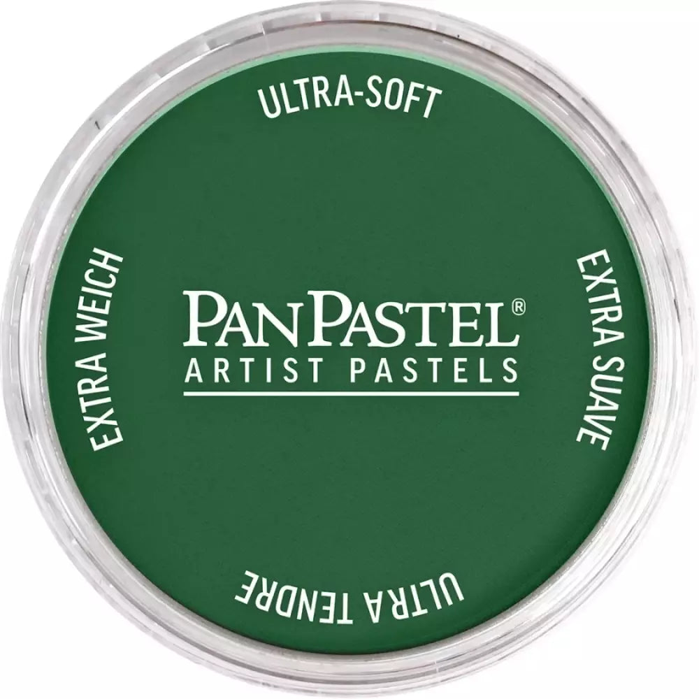 PanPastel Artist's Pastel Boya 640.1 Permanent Green Extra Dark