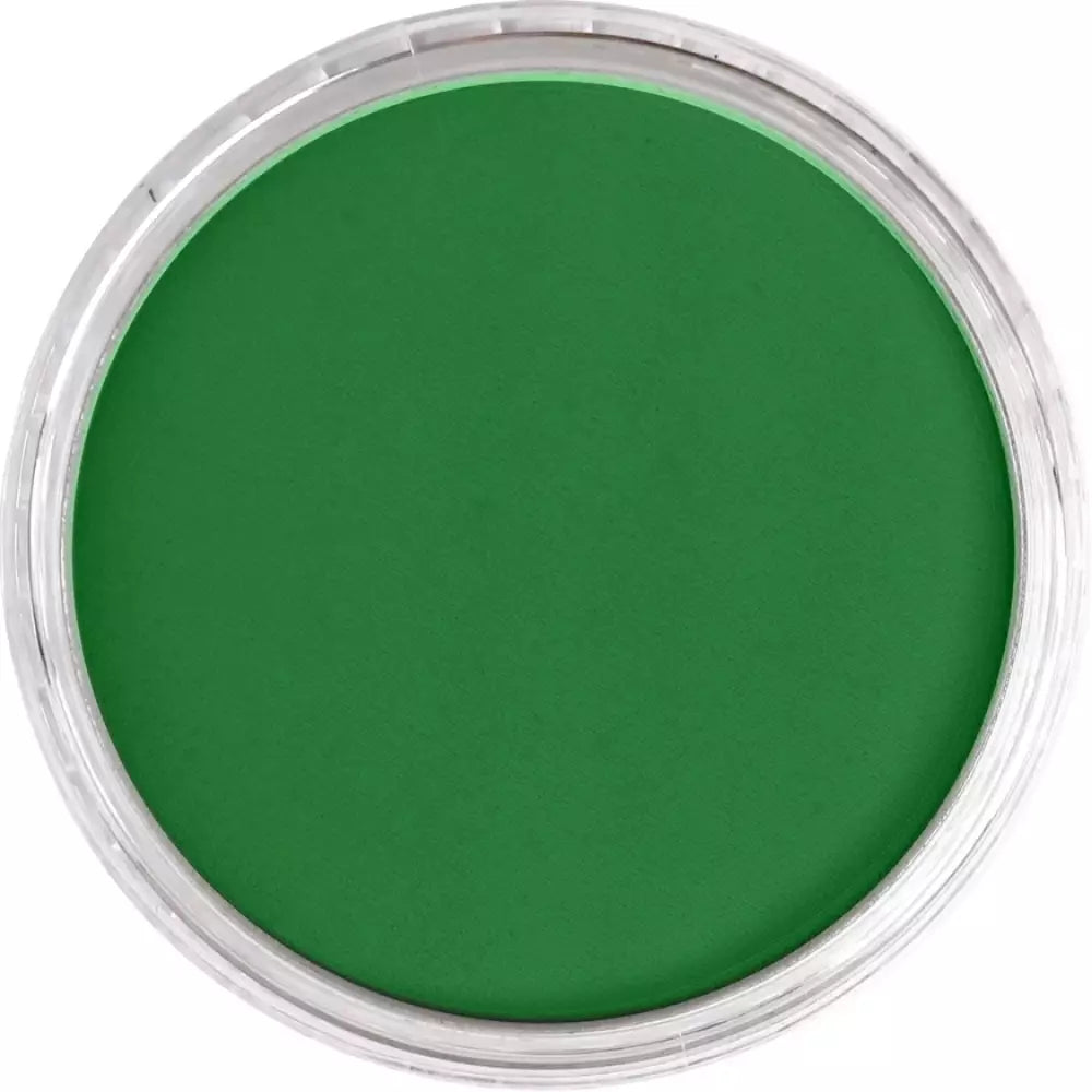 PanPastel Artist's Pastel Boya 640.3 Permanent Green Shade