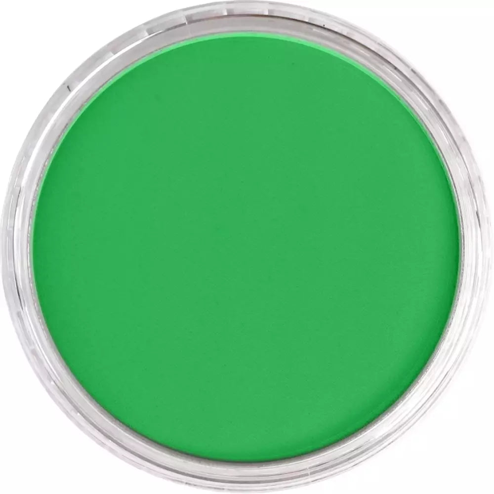 PanPastel Artist's Pastel Boya 640.5 Permanent Green