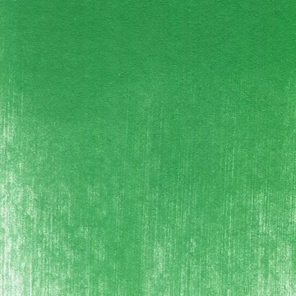 PanPastel Artist's Pastel Boya 640.5 Permanent Green