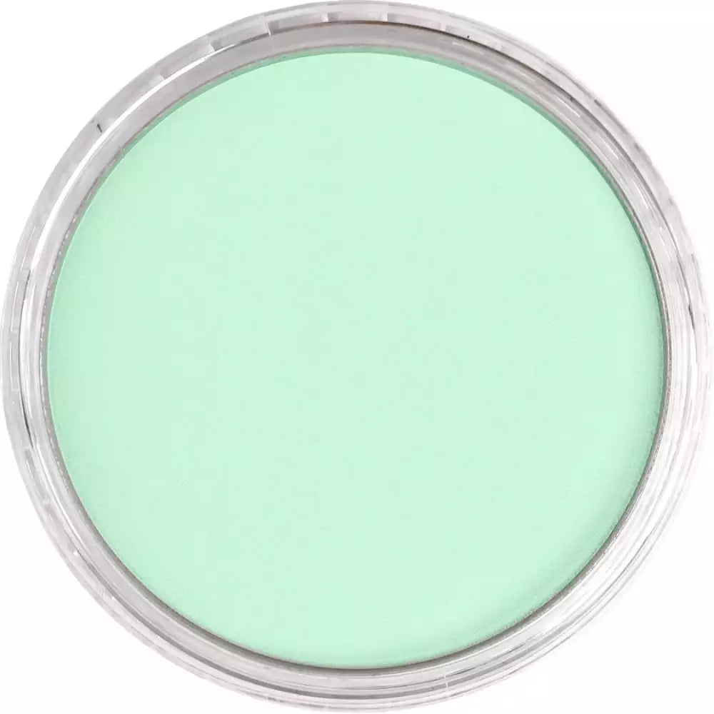 PanPastel Artist's Pastel Boya 640.8 Permanent Green Tint