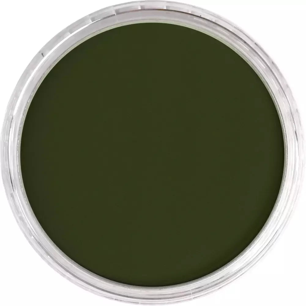 PanPastel Artist's Pastel Boya 660.3 Chromium Oxide Green Shade