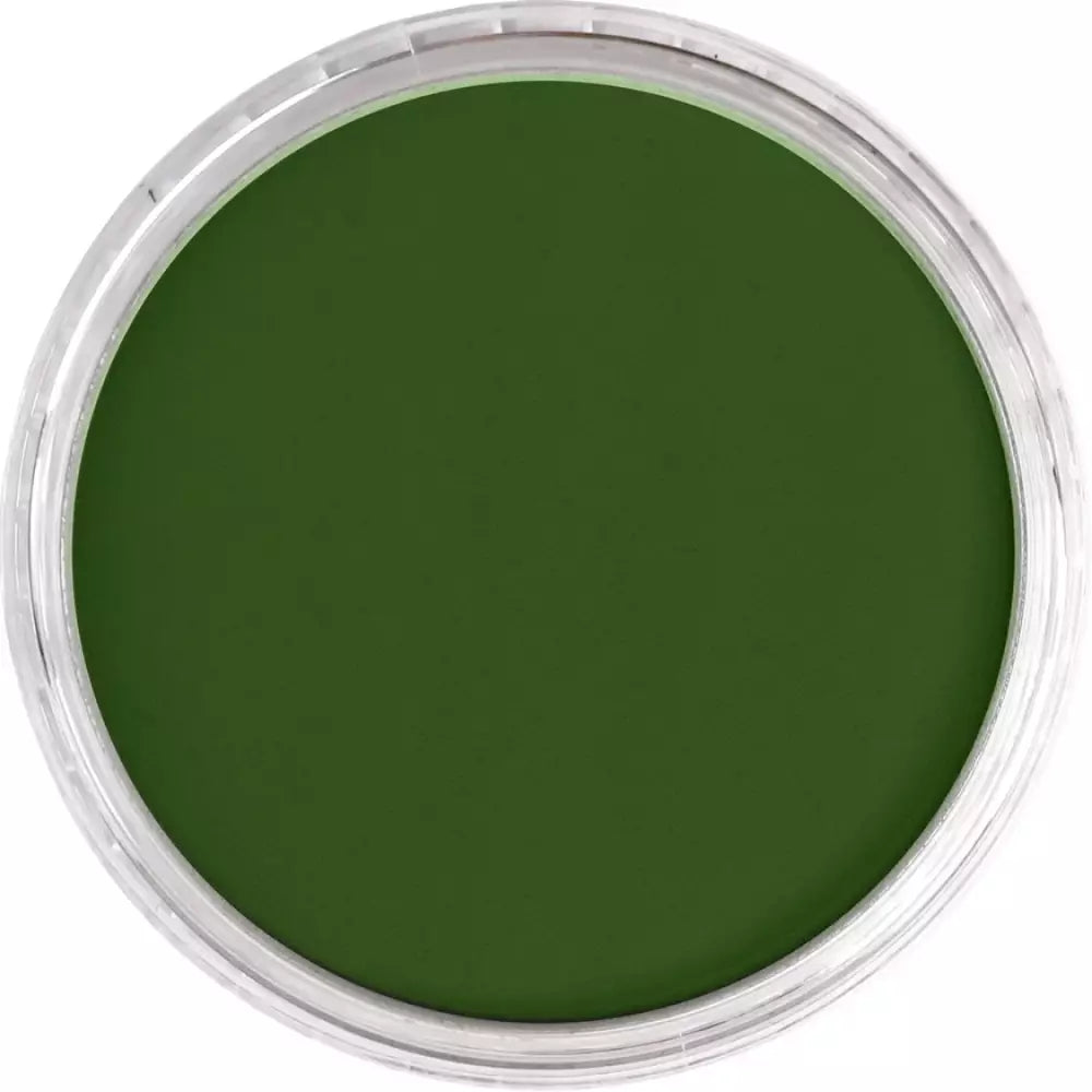 PanPastel Artist's Pastel Boya 660.5 Chromium Oxide Green