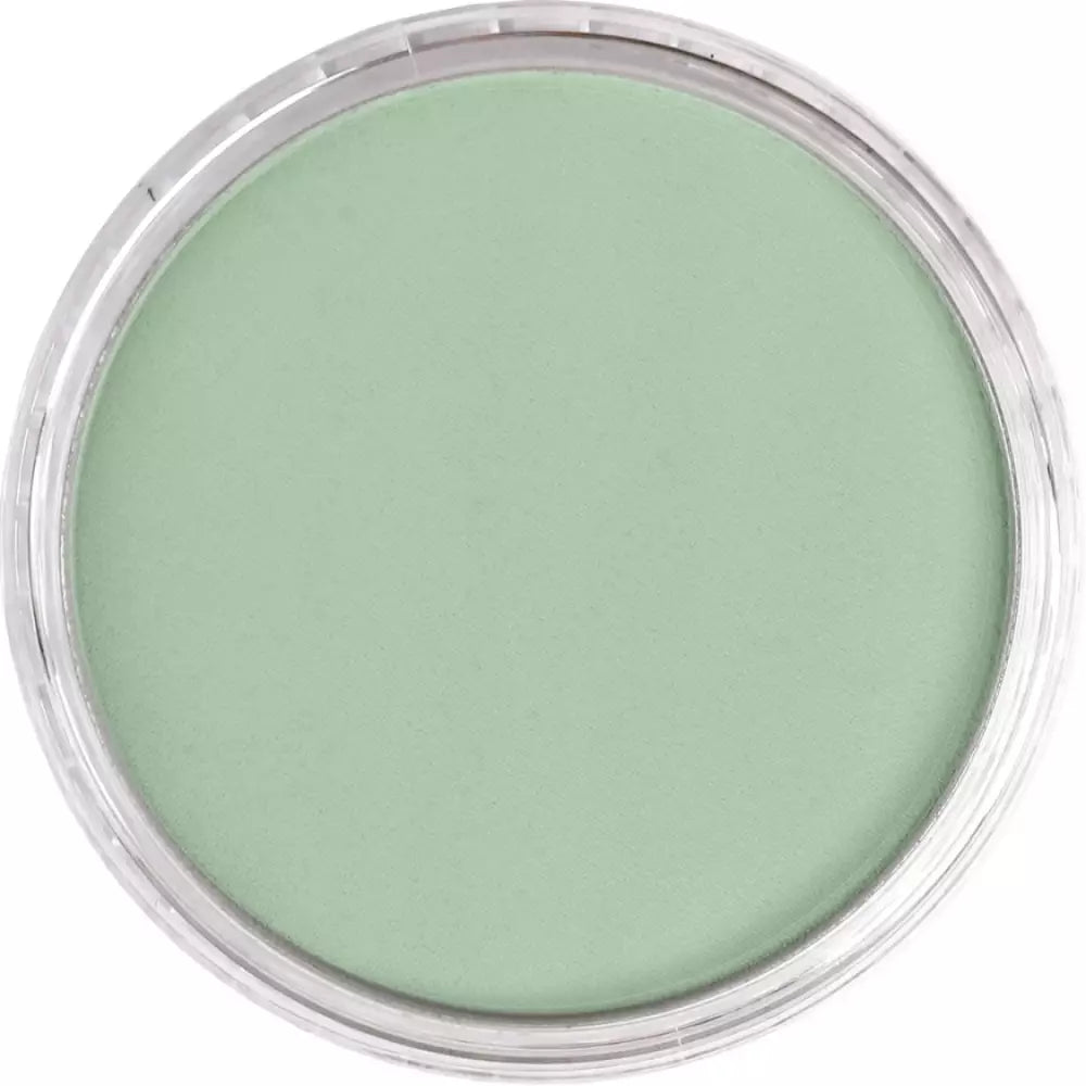 PanPastel Artist's Pastel Boya 660.8 Chromium Oxide Green Tint
