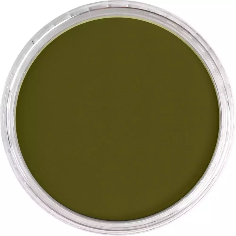 PanPastel Artist's Pastel Boya 680.1 Bright Yellow Green Extra Dark