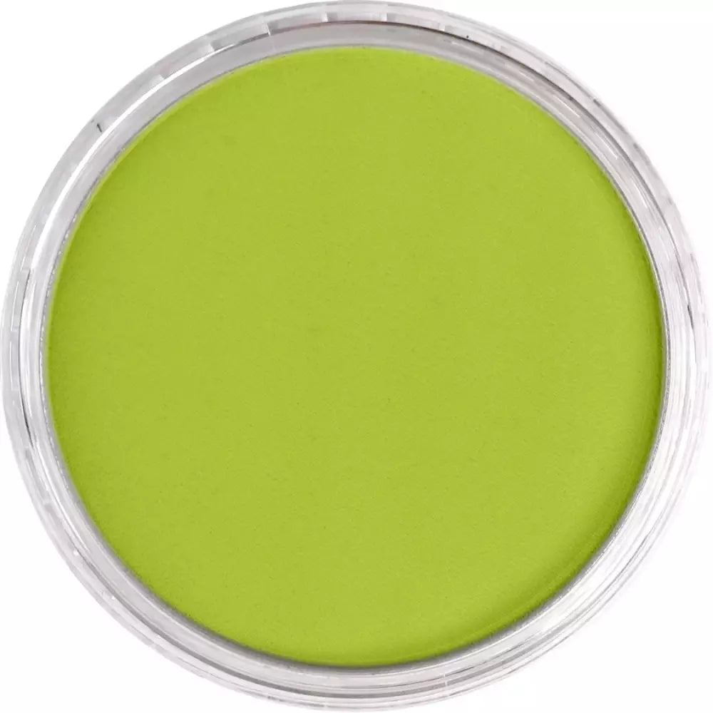 PanPastel Artist's Pastel Boya 680.5 Bright Yellow Green