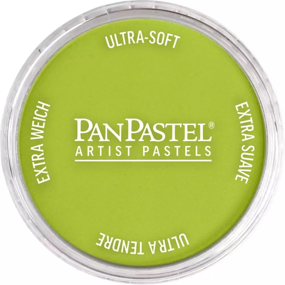 PanPastel Artist's Pastel Boya 680.5 Bright Yellow Green