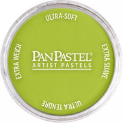 PanPastel Artist's Pastel Boya 680.5 Bright Yellow Green