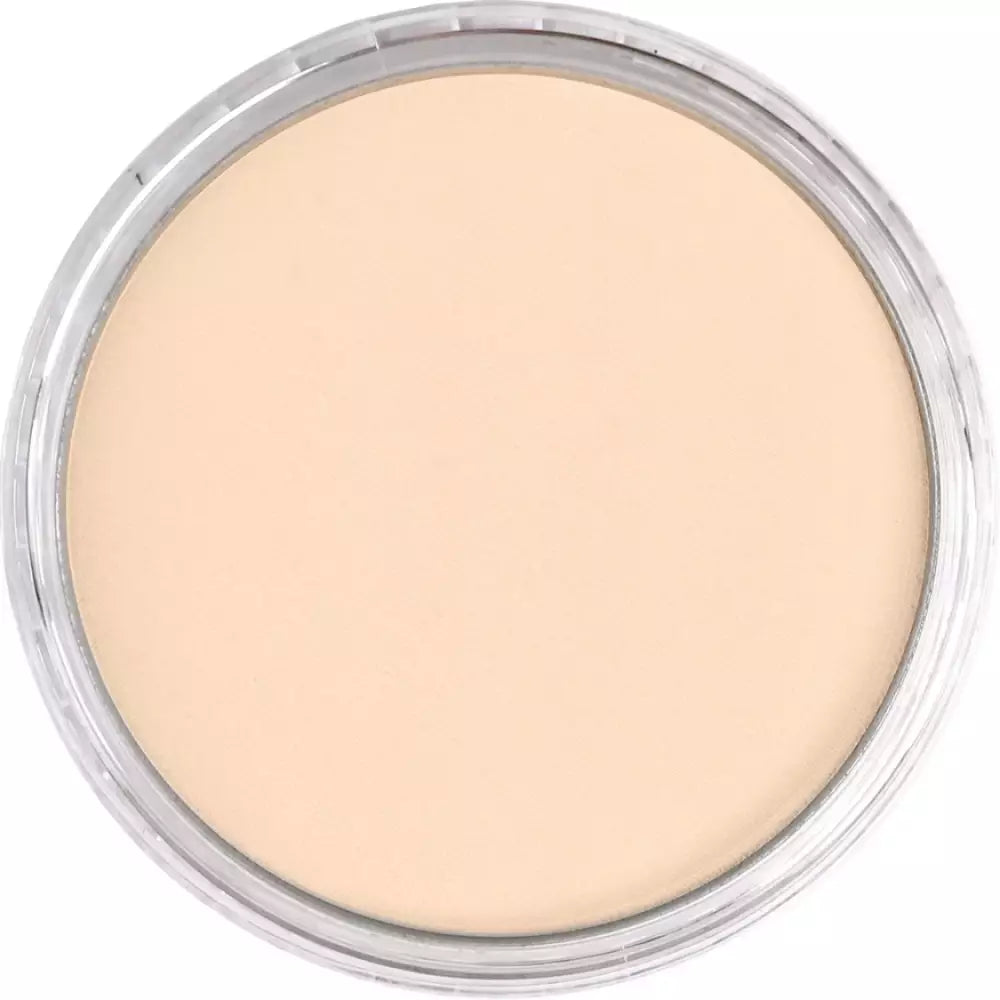 PanPastel Artist's Pastel Boya 740.8 Burnt Sienna Tint