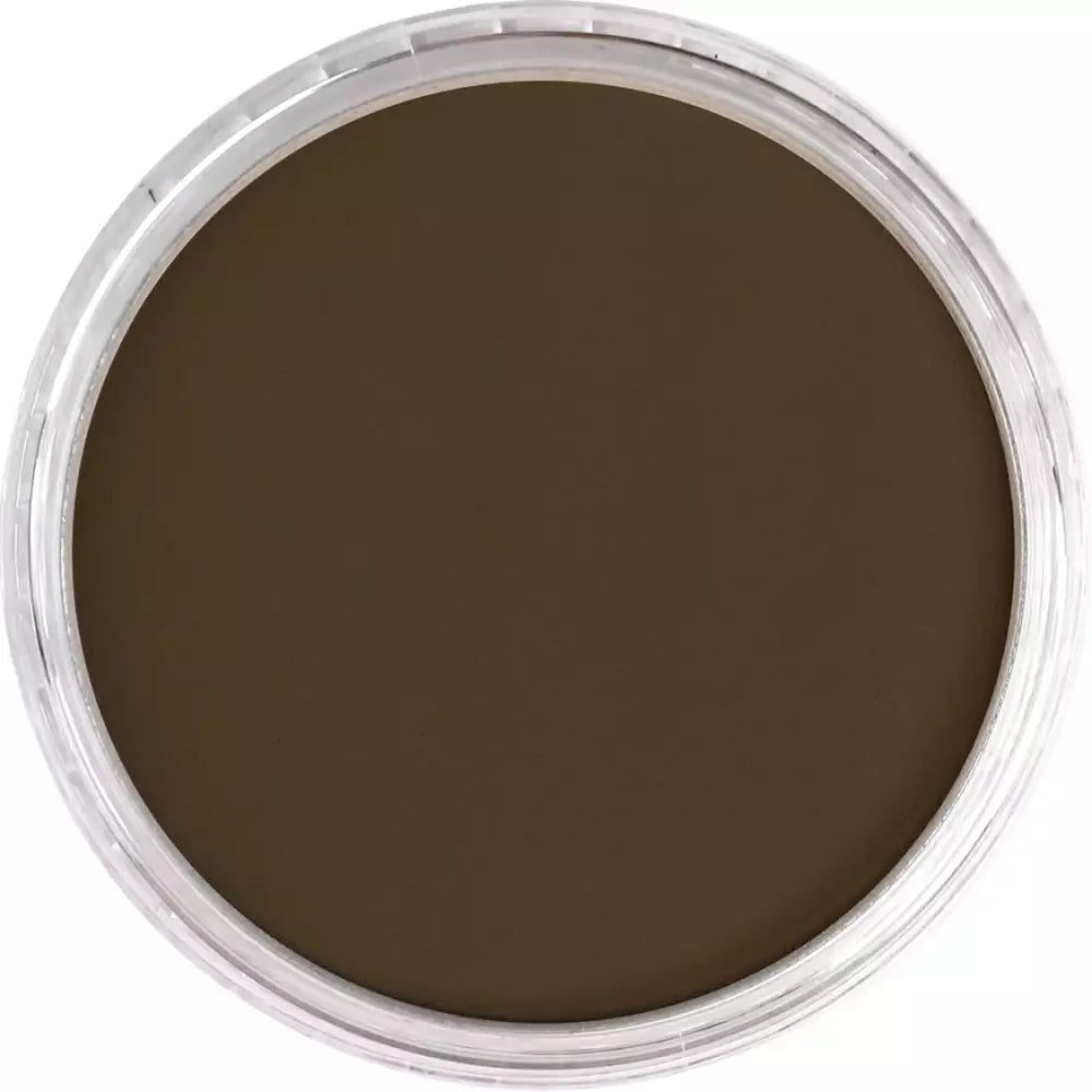 PanPastel Artist's Pastel Boya 780.3 Raw Umber Shade