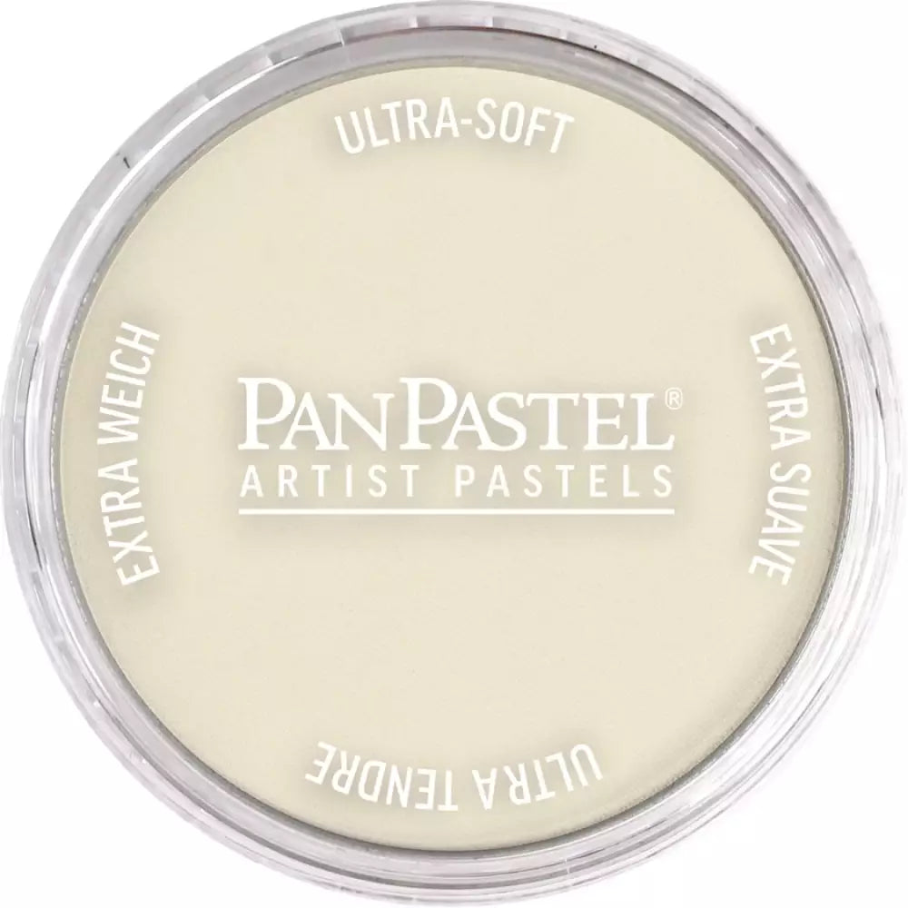 PanPastel Artist's Pastel Boya 780.8 Raw Umber Tint