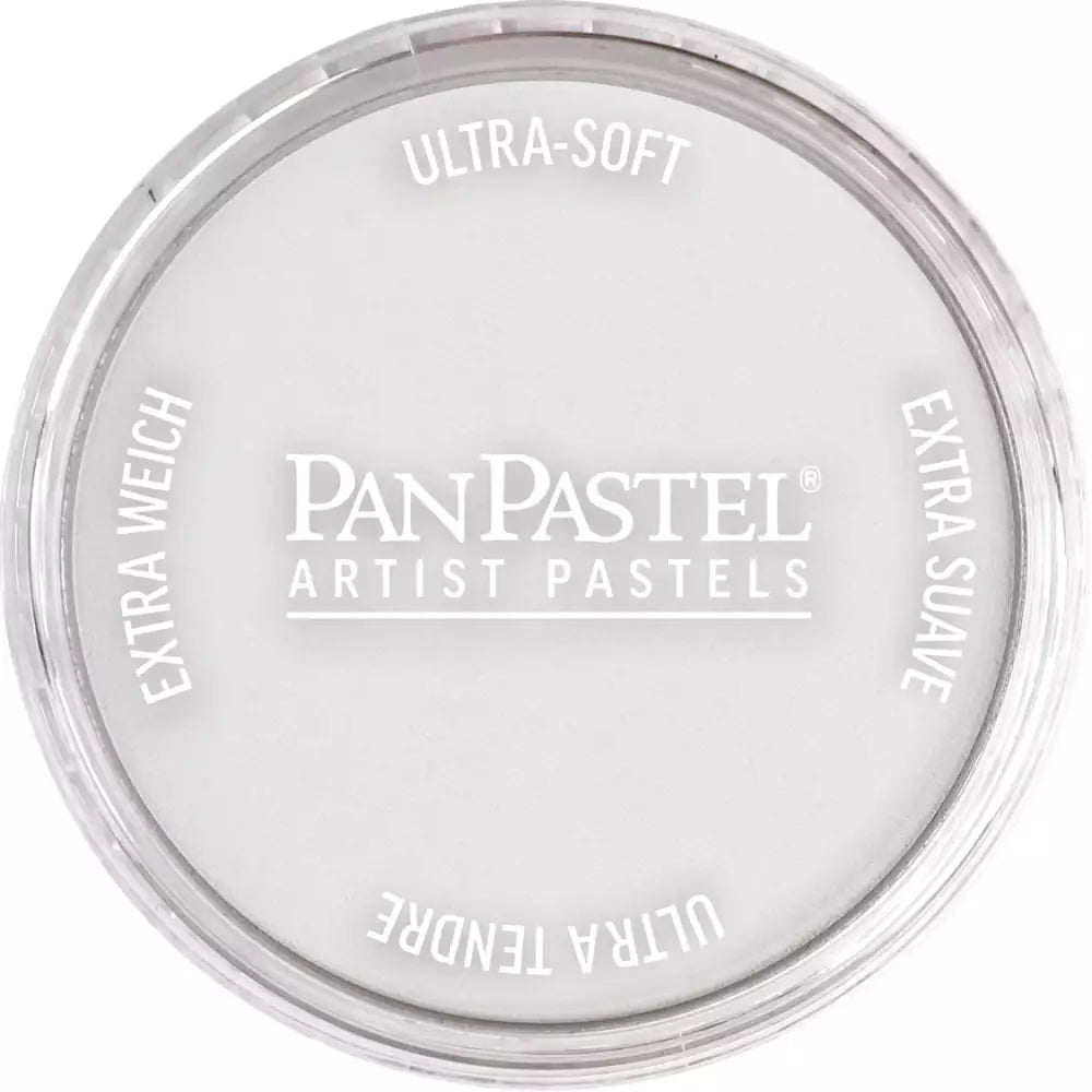 PanPastel Artist's Pastel Boya 920.5 Silver
