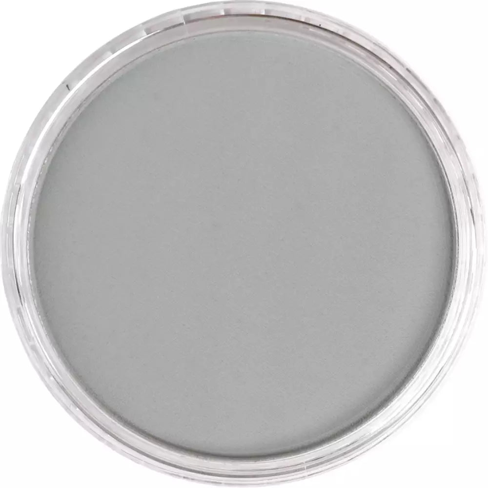 PanPastel Artist's Pastel Boya 921.5 Pewter